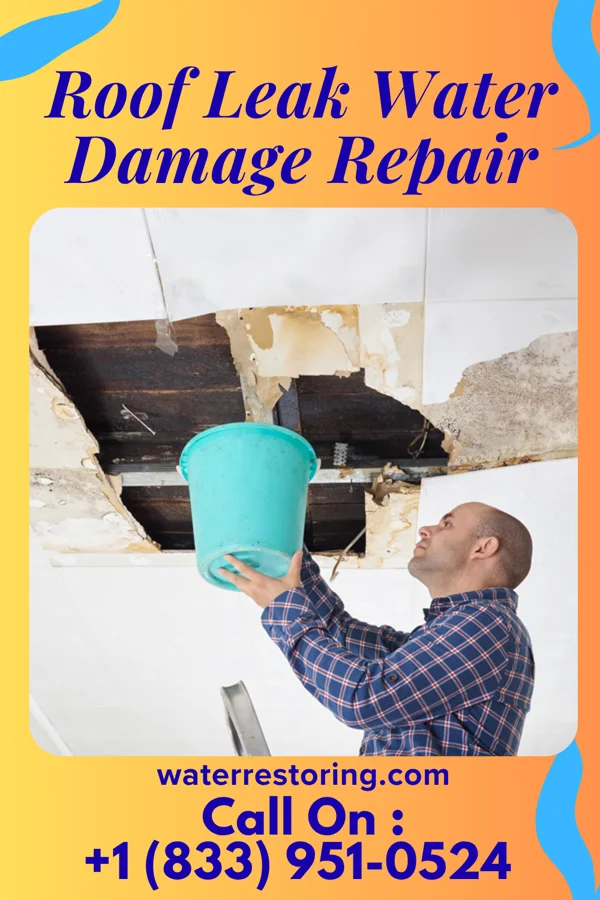 Roof Leak Water Damage Repair in Noonday, TX