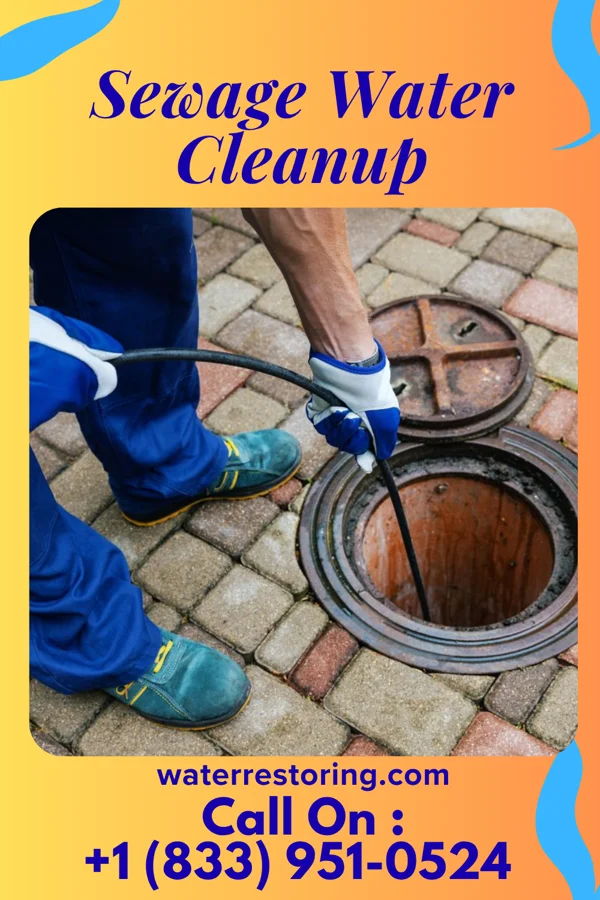 Sewage Water Cleanup in Noonday, TX
